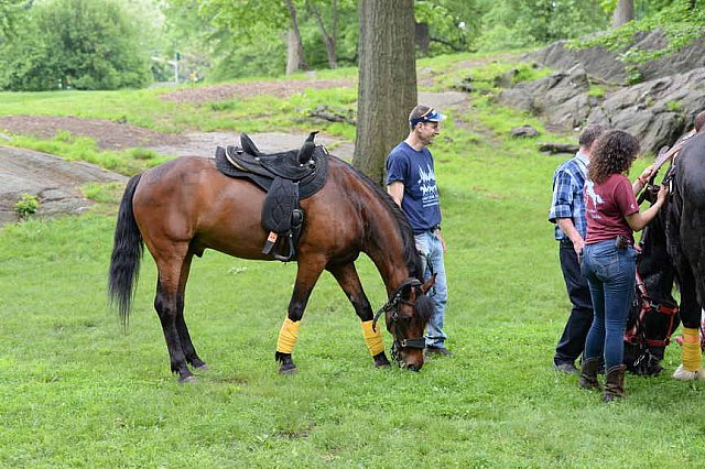 GALLOPNYC-5-22-2022-4398-DDeRosaPhoto