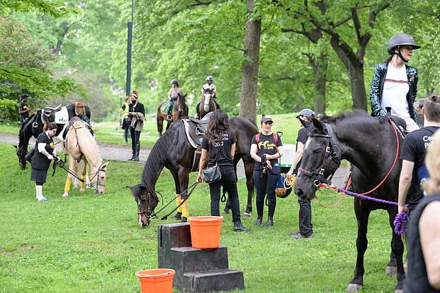 GALLOPNYC-5-22-2022-4399-DDeRosaPhoto