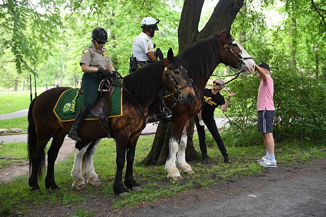 GALLOPNYC-5-22-2022-9457-DDeRosaPhoto