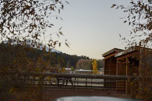 HHB2-10-16-12-2150-DDeRosaPhoto-DDeRosaPhoto