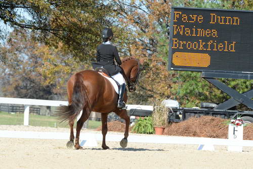 HHB-DressageFinals-11-8-13-0567-DDeRosaPhoto