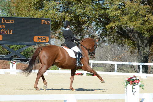 HHB-DressageFinals-11-8-13-0591-DDeRosaPhoto