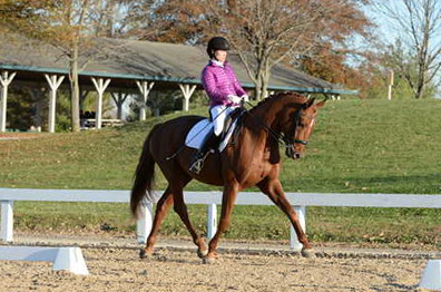 HHB-DressageFinals-11-9-13-2121-DDeRosaPhoto