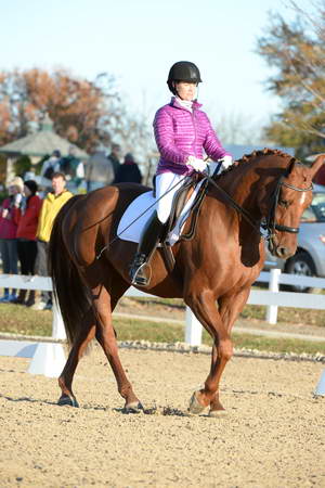 HHB-DressageFinals-11-9-13-2136-DDeRosaPhoto