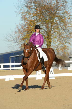 HHB-DressageFinals-11-9-13-2142-DDeRosaPhoto