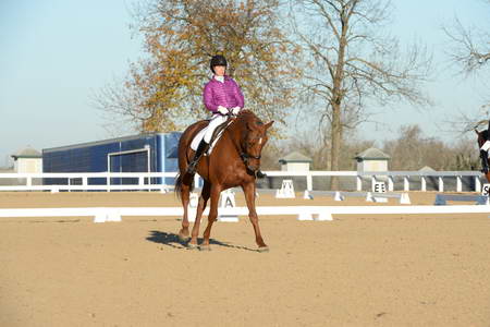 HHB-DressageFinals-11-9-13-2169-DDeRosaPhoto