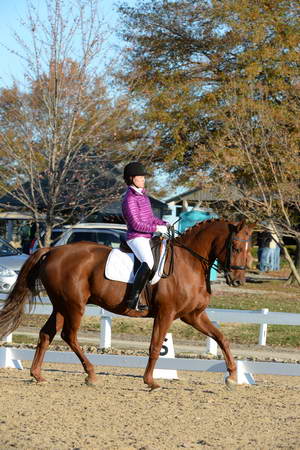 HHB-DressageFinals-11-9-13-2187-DDeRosaPhoto