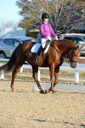 HHB-DressageFinals-11-9-13-2193-DDeRosaPhoto