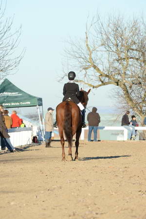 HHB-DressageFinals-11-9-13-2213-DDeRosaPhoto