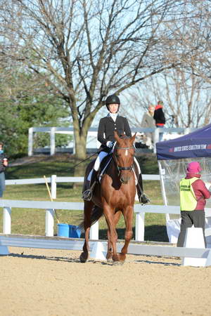 HHB-DressageFinals-11-9-13-2227-DDeRosaPhoto