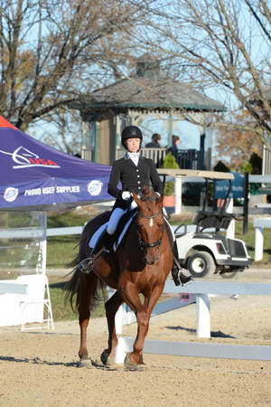 HHB-DressageFinals-11-9-13-2230-DDeRosaPhoto