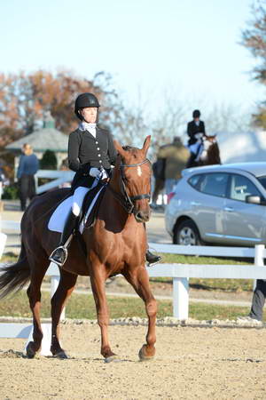 HHB-DressageFinals-11-9-13-2235-DDeRosaPhoto