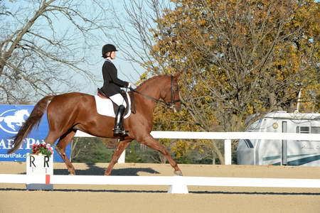 HHB-DressageFinals-11-9-13-2251-DDeRosaPhoto