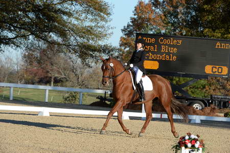 HHB-DressageFinals-11-9-13-2266-DDeRosaPhoto