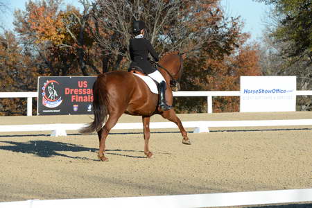 HHB-DressageFinals-11-9-13-2277-DDeRosaPhoto