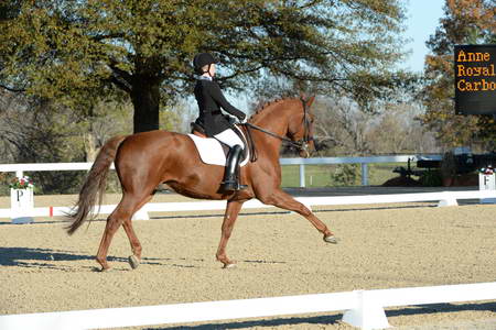 HHB-DressageFinals-11-9-13-2295-DDeRosaPhoto