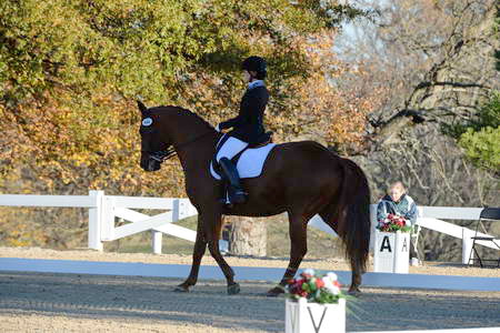 HHB-DressageFinals-11-9-13-2298-DDeRosaPhoto