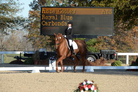 HHB-DressageFinals-11-9-13-2302-DDeRosaPhoto