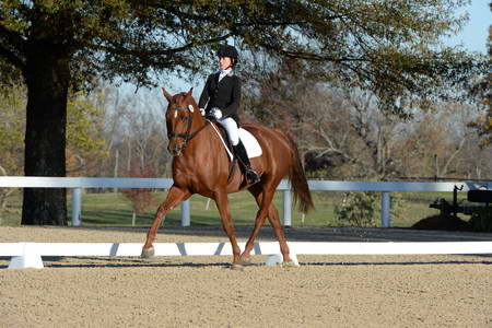 HHB-DressageFinals-11-9-13-2304-DDeRosaPhoto