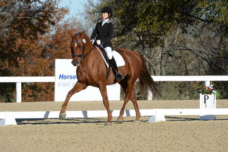 HHB-DressageFinals-11-9-13-2307-DDeRosaPhoto