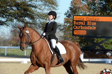 HHB-DressageFinals-11-9-13-2314-DDeRosaPhoto