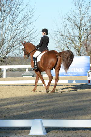 HHB-DressageFinals-11-9-13-2319-DDeRosaPhoto