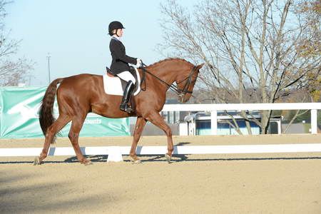 HHB-DressageFinals-11-9-13-2328-DDeRosaPhoto