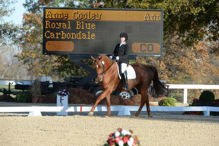 HHB-DressageFinals-11-9-13-2341-DDeRosaPhoto