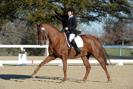 HHB-DressageFinals-11-9-13-2364-DDeRosaPhoto