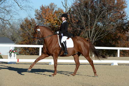 HHB-DressageFinals-11-9-13-2367-DDeRosaPhoto