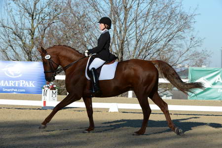 HHB-DressageFinals-11-9-13-2369-DDeRosaPhoto