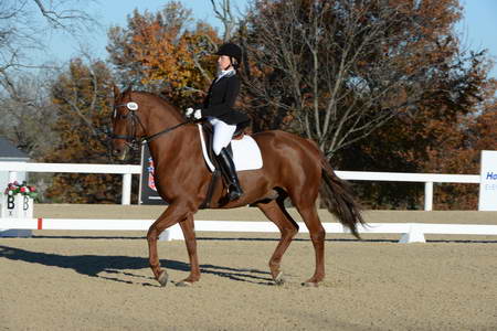 HHB-DressageFinals-11-9-13-2375-DDeRosaPhoto