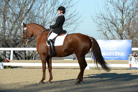 HHB-DressageFinals-11-9-13-2385-DDeRosaPhoto