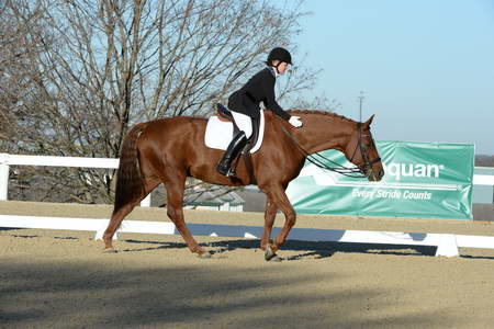 HHB-DressageFinals-11-9-13-2388-DDeRosaPhoto