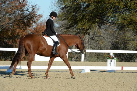 HHB-DressageFinals-11-9-13-2391-DDeRosaPhoto