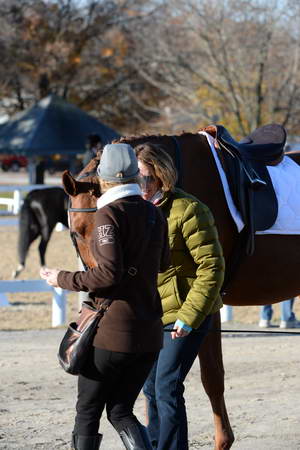 HHB-DressageFinals-11-9-13-2425-DDeRosaPhoto