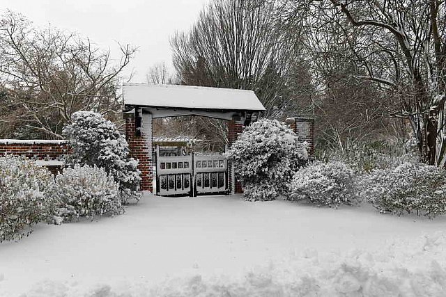 31 Fort Hill-12-17-2020-Snowstorm--0215-DDeRosaPhoto