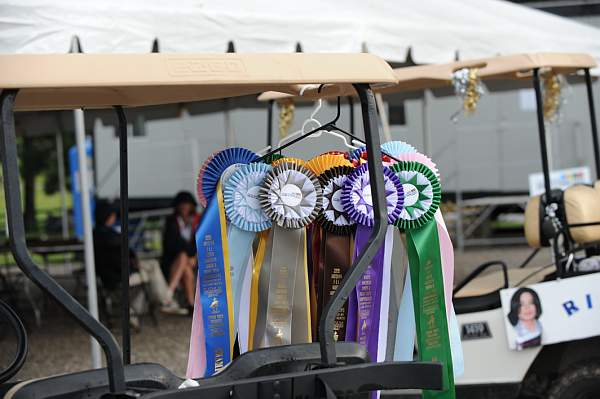 0838-NAJYRC-7-25-09-Misc-DDeRosaPhoto.jpg