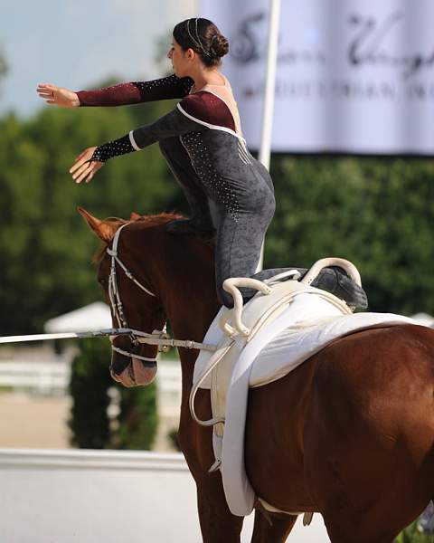 0906-NAJYRC-7-26-09-Vaulting-DDeRosaPhoto.jpg