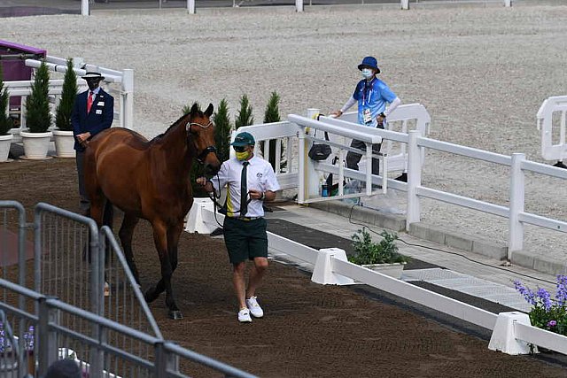 OLY-2020-DRESSAGE-JOG-7-24-21-0718-101-Mary Hanna-Calanta-AUS-DDEROSAPHOTO 3