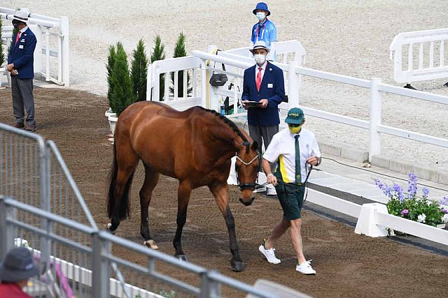 OLY-2020-DRESSAGE-JOG-7-24-21-0720-101-Mary Hanna-Calanta-AUS-DDEROSAPHOTO