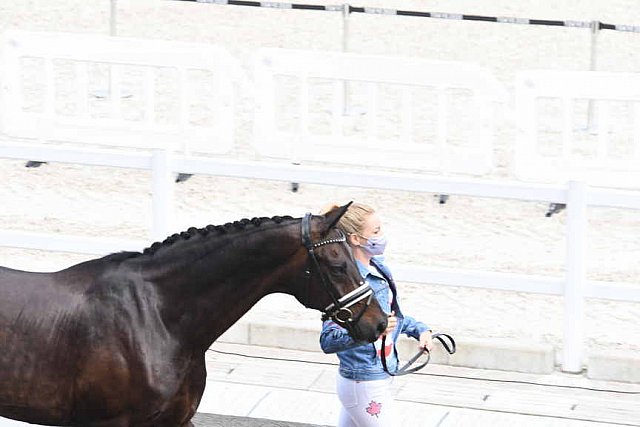 OLY-2020-DRESSAGE-JOG-7-24-21-0814-114-LINDSAY KELLOCK-SEBASTIEN-CAN-DDEROSAPHOTO