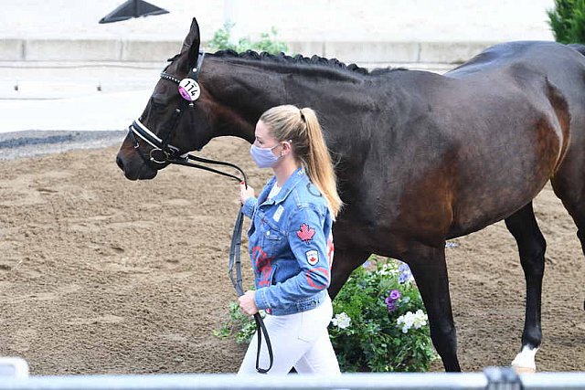 OLY-2020-DRESSAGE-JOG-7-24-21-0817-114-LINDSAY KELLOCK-SEBASTIEN-CAN-DDEROSAPHOTO