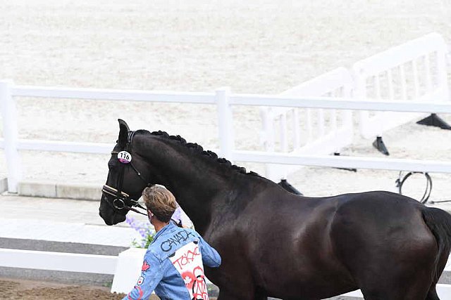 OLY-2020-DRESSAGE-JOG-7-24-21-0837-116-CHRIS VON MARTELS-ECLIPS-CAN-DDEROSAPHOTO