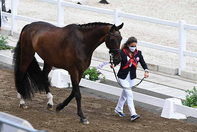 OLY-2020-DRESSAGE-JOG-7-24-21-0840-117-VIRGINIA YARUR-RONALDO-CHI-DDEROSAPHOTO