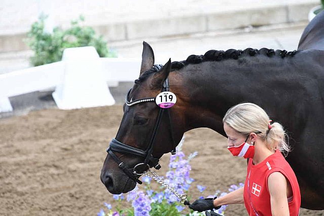 OLY-2020-DRESSAGE-JOG-7-24-21-0862-119-CHARLOTTE-HEERING-BUFRANCO-DEN-DDEROSAPHOTO