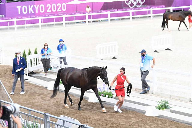 OLY-2020-DRESSAGE-JOG-7-24-21-0865-120-CC KRUTH-HELINE'S DANCERA-DEN-DDEROSAPHOTO