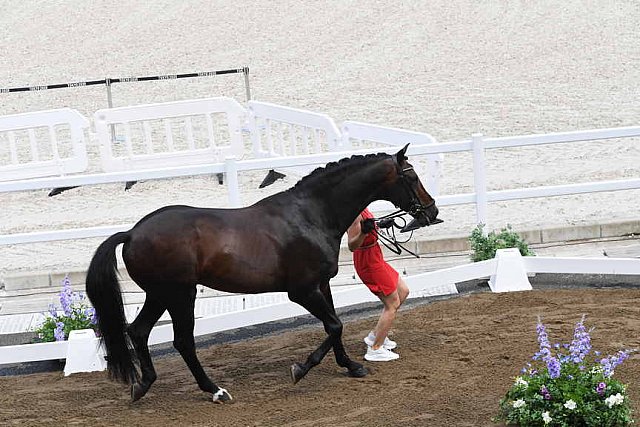 OLY-2020-DRESSAGE-JOG-7-24-21-0876-121-NS MERRALD-ZACK-DEN-DDEROSAPHOTO