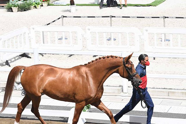 OLY-2020-DRESSAGE-JOG-7-24-21-0896-124-JA GARCIA MENA-DIVINA ROYAL-ESP-DDEROSAPHOTO