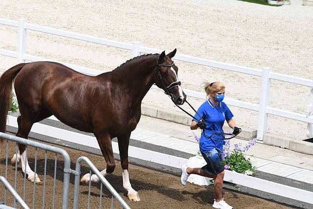 OLY-2020-DRESSAGE-JOG-7-24-21-0930-127-DINA ELLERMANN-DONNA ANNA-EST-DDEROSAPHOTO